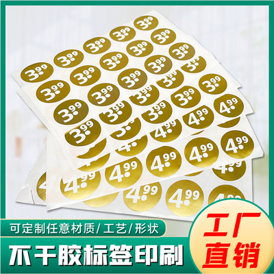 CMYK imprimiu o costume esparadrapo do PVC de Hang Tags imprimiu etiquetas plásticas